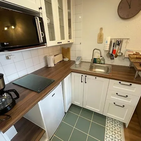 Cosy Aux Pieds Des Pistes Apartment